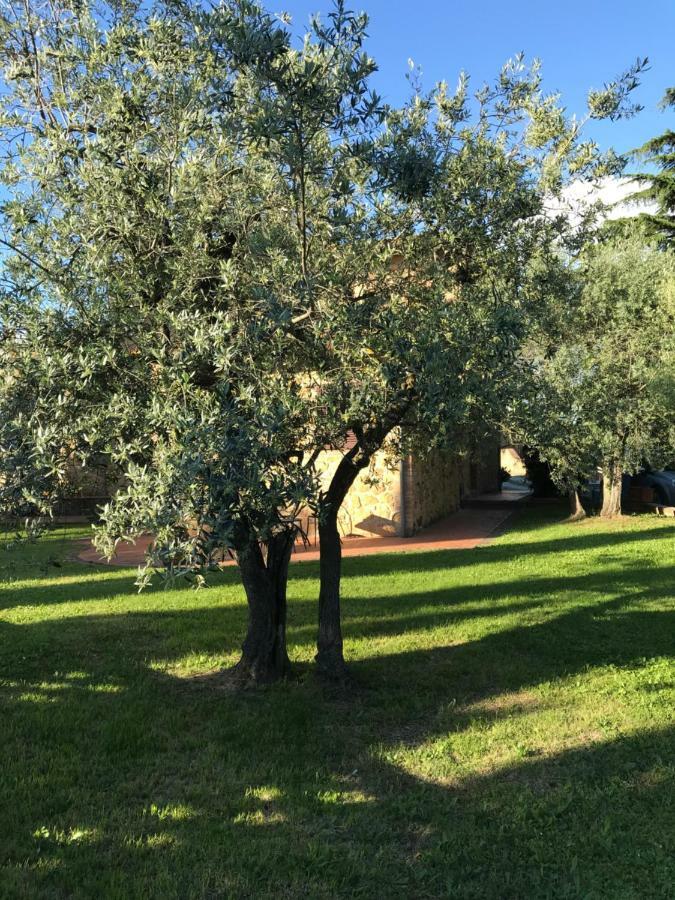 La Casina Rosella Appartement Montaione Buitenkant foto